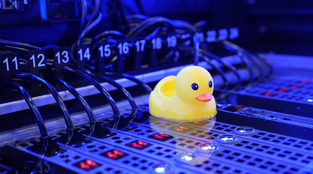 A rubber duck floating on Kixx immersion cooling fluid on data center servers.  